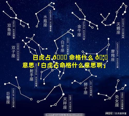 白虎占 🐋 命格什么 🦁 意思「白虎占命格什么意思啊」